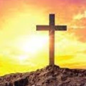 Meet your Posher, Phyllis